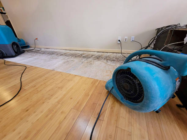 Professional Structural Drying technician working in Hillsborough, NC